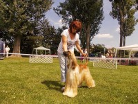 /album/boa-vistas-gallery/a12-023-jpg/